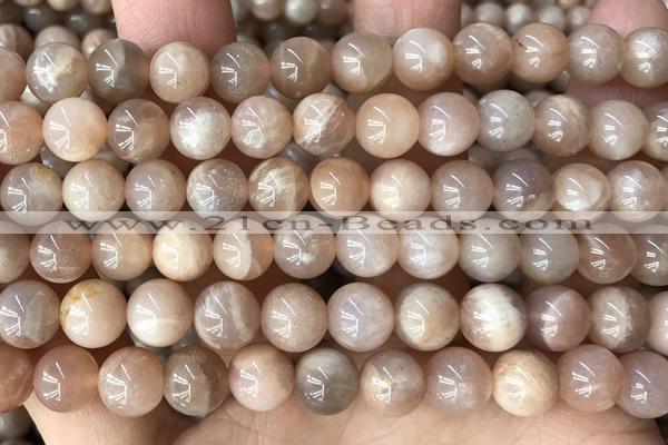 CMS2055 15.5 inches 8mm round moonstone gemstone beads